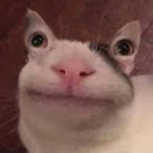 Meet your Posher, George